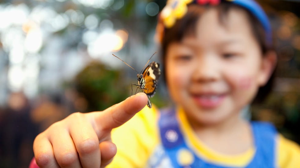 Wildlife activities for kids girl holding butterfly